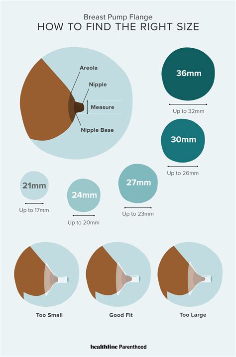 little nipples|Breast and Nipple Size and Shape .